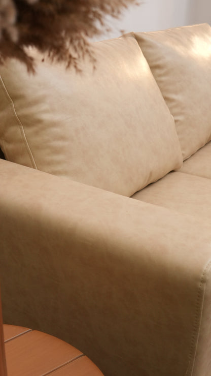 Dekalb leather sofa